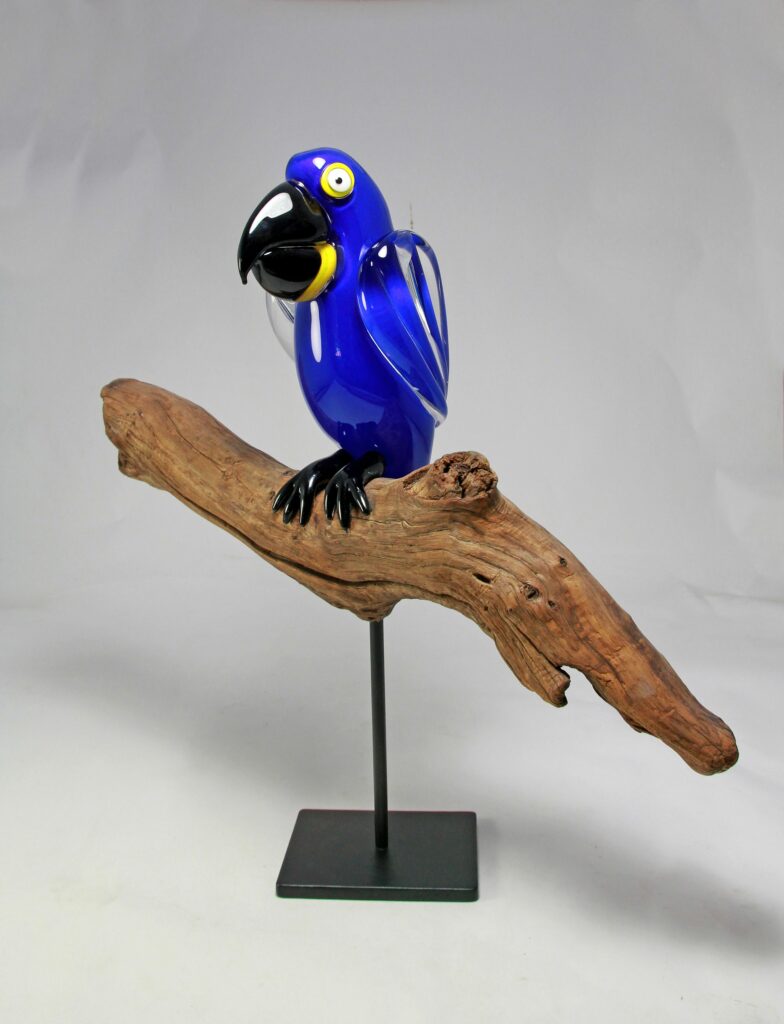 Perroquet Hiacynth Macaw bleu