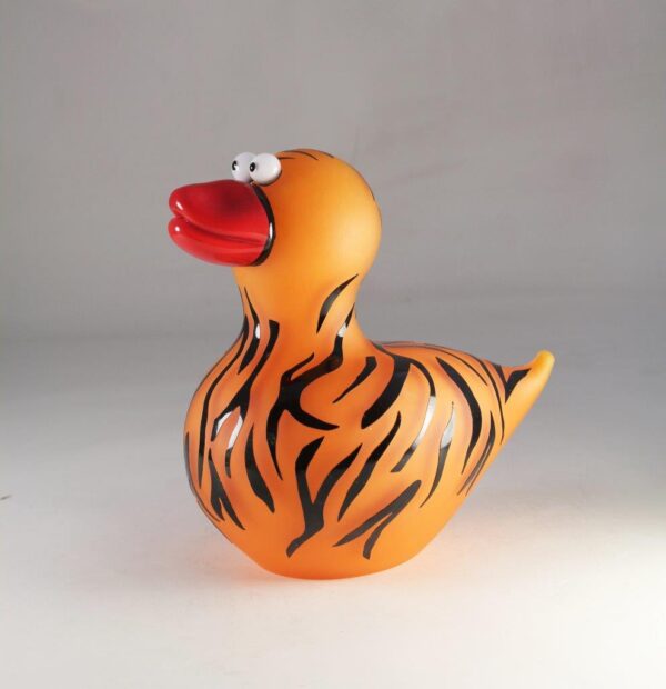 Canard_tigre