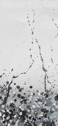 Beauté_en_noir_et_gris