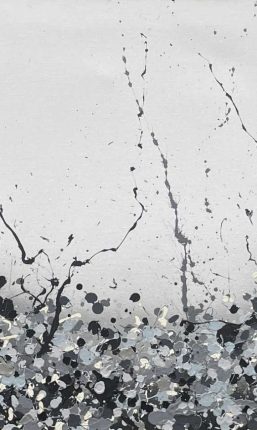 Beauté_en_noir_et_gris