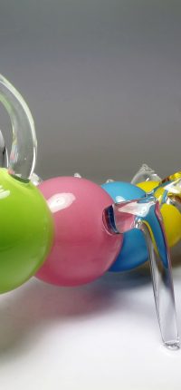 Mille_pattes_multicolore