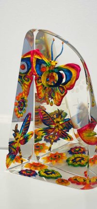 Papillons-de-nuit